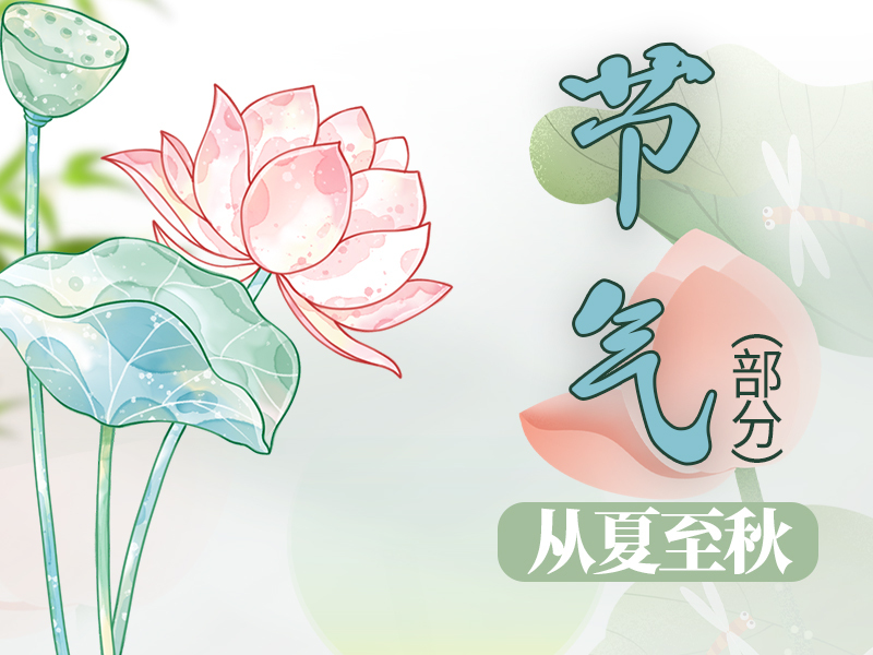 农业行业 | 部分节气：小暑 大暑 寒露