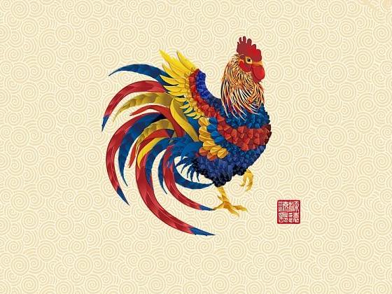 宝马学车banner