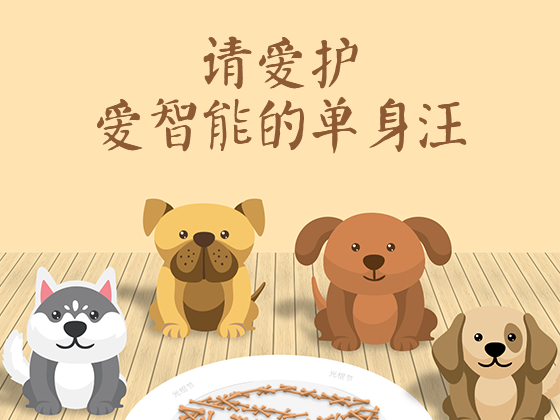 光棍节启动页