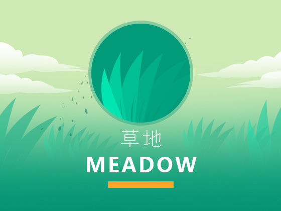 APP-草地-专注种草拔草、淘物！