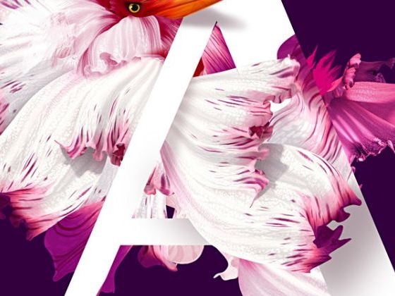 原创手绘
